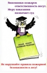 Виновники пожаров несут ответственность за свои действия